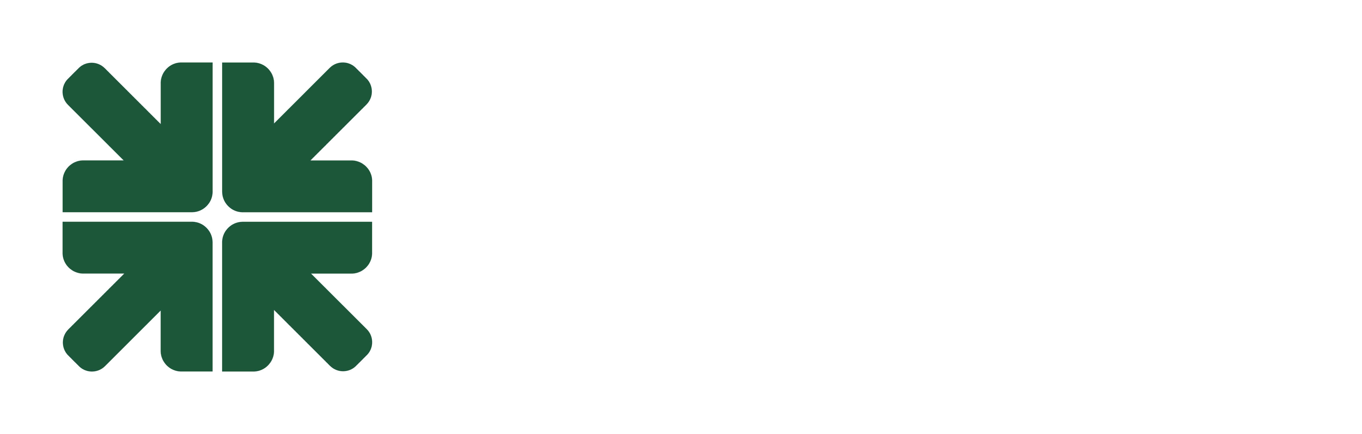 Website Log